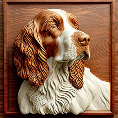 3D model Welsh Springer Spaniel dog (STL)